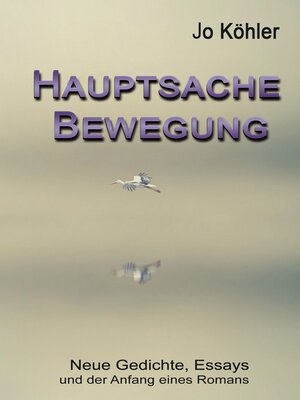 cover image of Hauptsache Bewegung